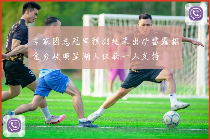 专家团总冠军预测结果出炉雷霆掘金分歧明显湖人仅获一人支持