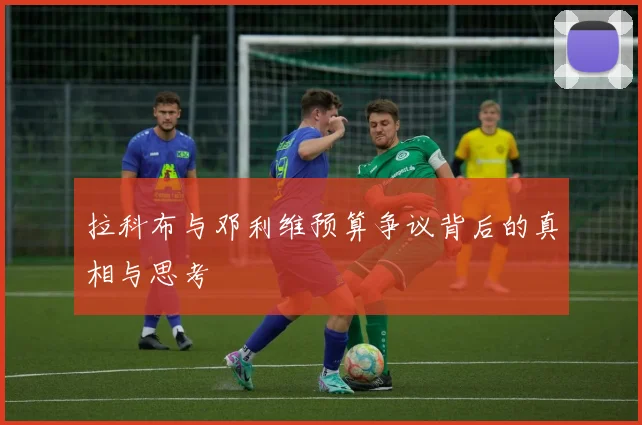 拉科布与邓利维预算争议背后的真相与思考