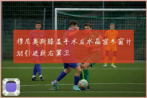穆尼奥斯膝盖手术后水晶宫冬窗计划引进新右翼卫