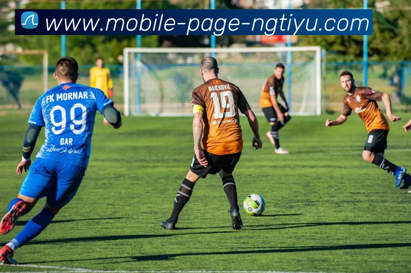 多媒体互动体验