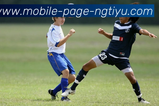 南宫体育APP 高清赛事图